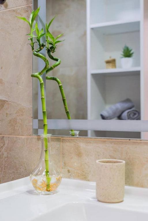Apartamento Lar Doce Lar Porto Vila Nova de Gaia Ngoại thất bức ảnh